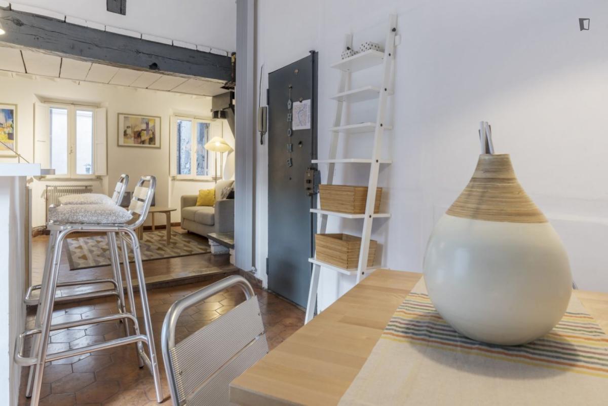 Cool 1-Bedroom Flat In The Centre Of Rome - 10