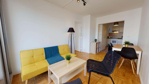 Room in Rue Claudius Pionchon, Lyon for 80 m² with 4 bedrooms - Gallery - 14