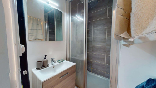 Room in Rue du Docteur Albéric Pont, Lyon for 64 m² with 4 bedrooms - Gallery - 9