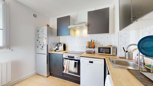 Room in Rue du Docteur Albéric Pont, Lyon for 64 m² with 4 bedrooms - Gallery - 6