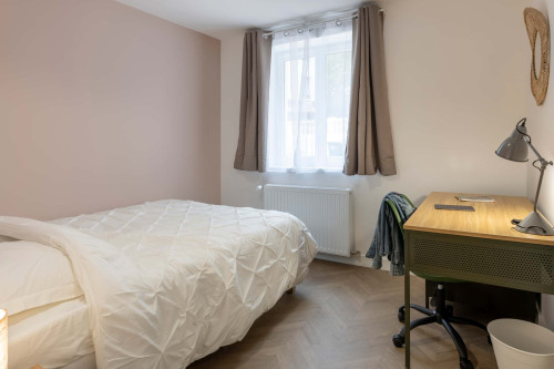 Room in Rue des Roses, Bron for 356 m² with 15 bedrooms - Gallery - 2