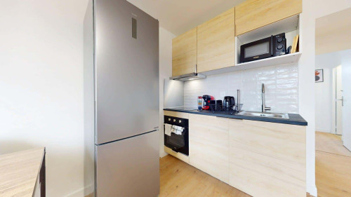 Room in Rue Feuillat, Lyon for 56 m² with 3 bedrooms - Gallery - 15