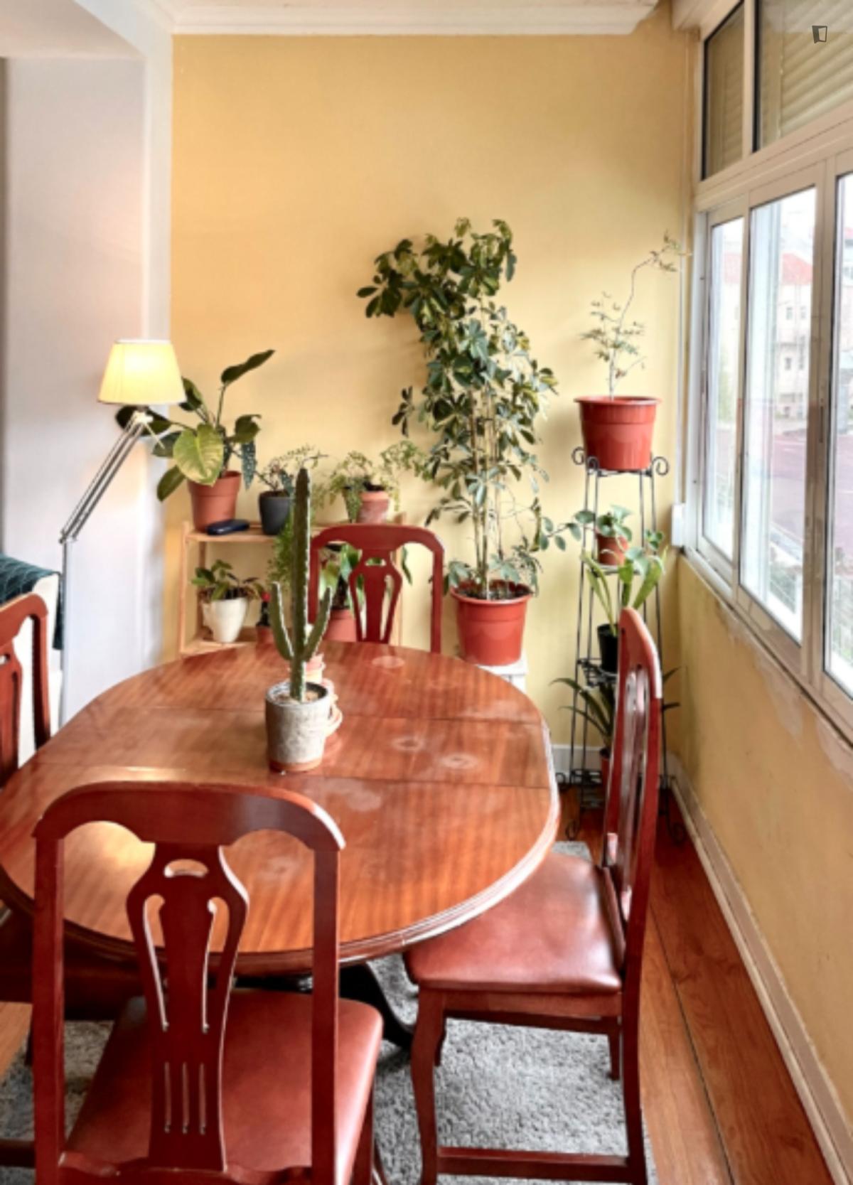 Exciting 3 Bedroom Apartment Close To Intendente Metro - 8