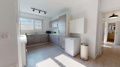 Room in Rue Delandine, Lyon for 98 m² with 6 bedrooms - Gallery - 12