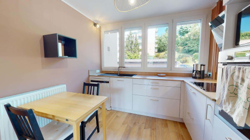 Room in Chemin de la Pomme, Tassin-la-Demi-Lune for 111 m² with 4 bedrooms - Gallery - 17