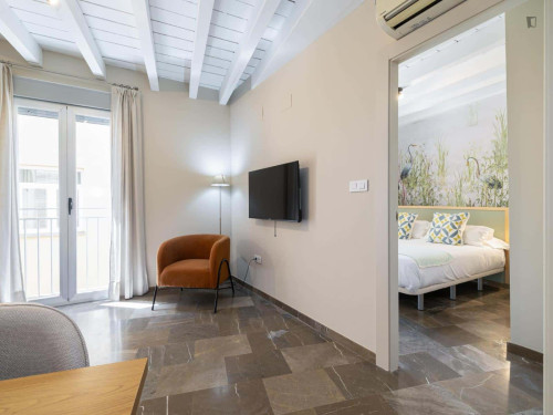 Apartment in Calle Piedra Santa, Granada for 30 m² with 1 bedroom
