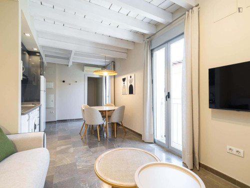 Apartment in Calle Piedra Santa, Granada for 30 m² with 1 bedroom