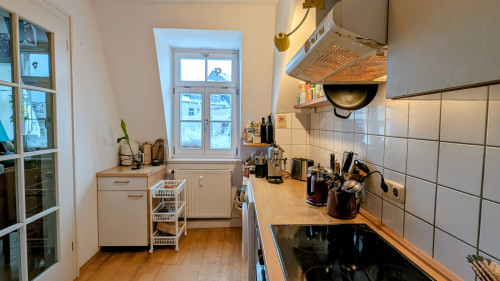 Furnished 3-room apartment with attic room, 2 bathrooms & weekly cleaning – Dresden-Neustadt on the Elbe - Gallery - 7