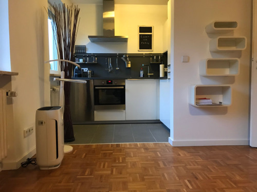 Fully furnished Studio Apartment in Central Munich