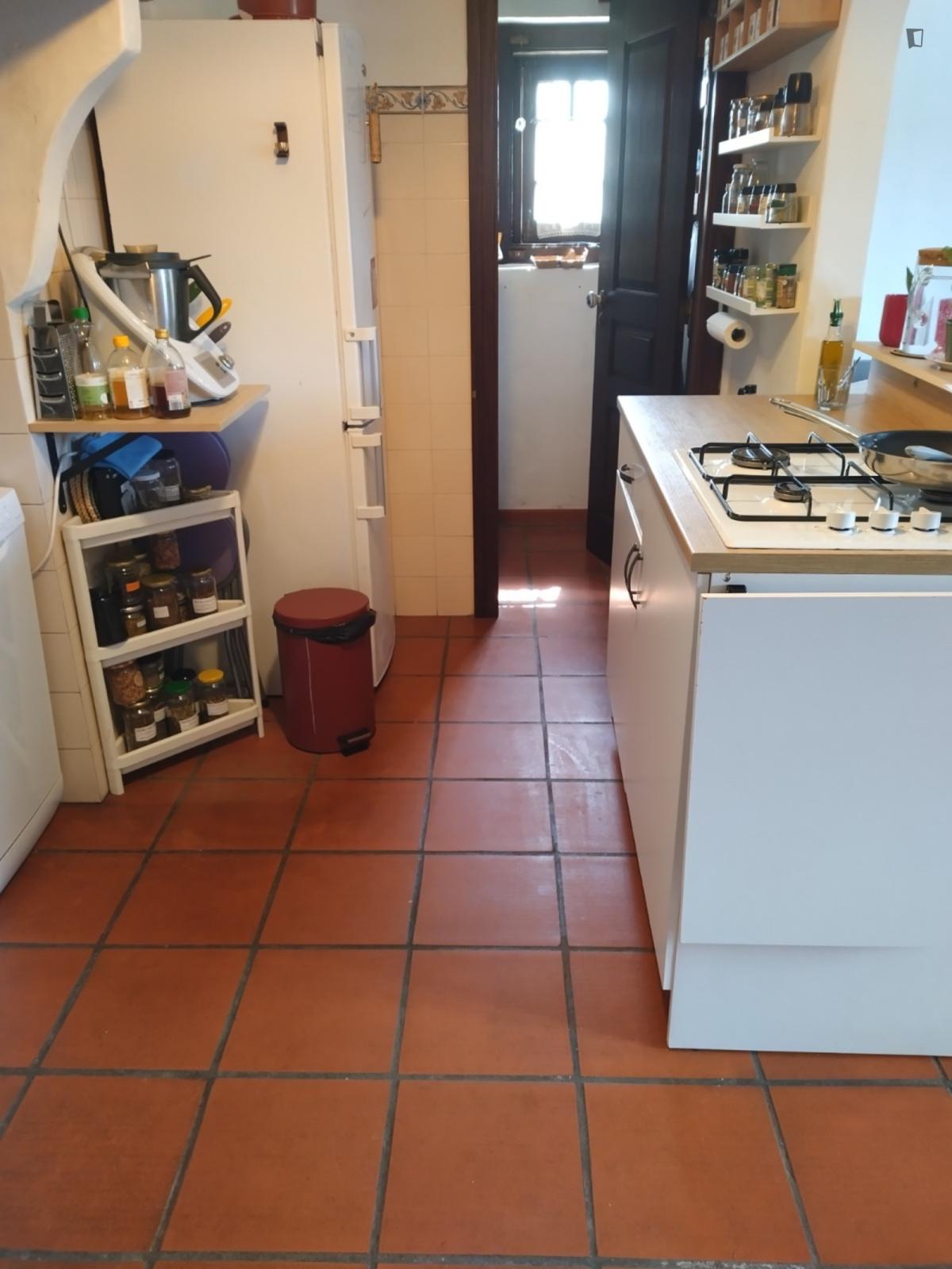Traditional Portuguese Cottage W/ Terrace, 8 Min Walk To Beach - 3