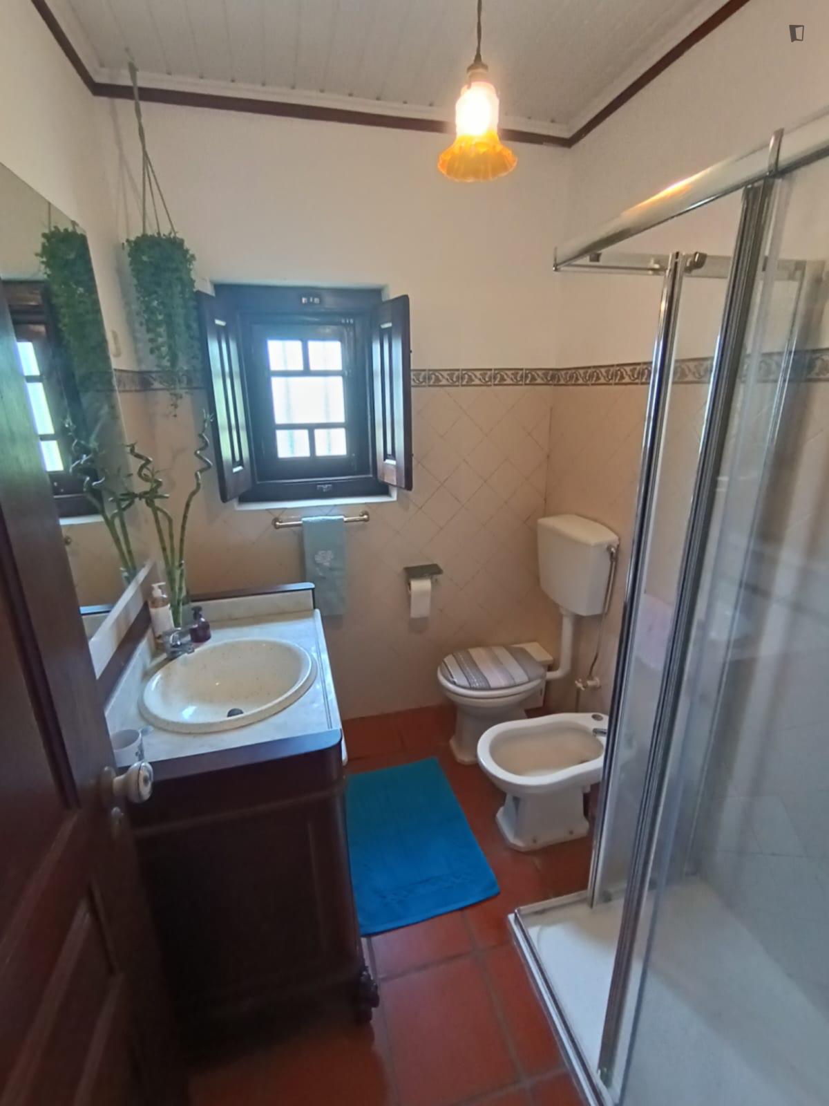 Traditional Portuguese Cottage W/ Terrace, 8 Min Walk To Beach - 2