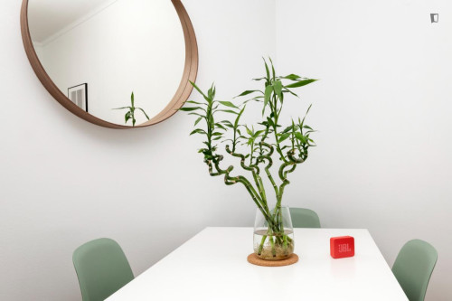 Typical 2-bedroom apartment in Campo de Ourique - Gallery - 42