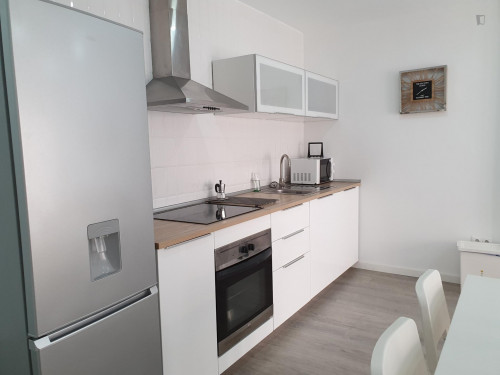 Charming 4 bedroom apartment near VIU
