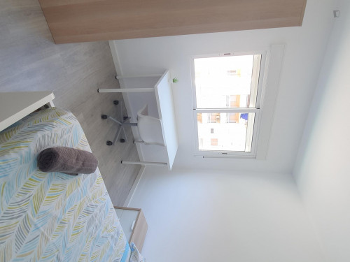 Charming 4 bedroom apartment near VIU  - Gallery -  5