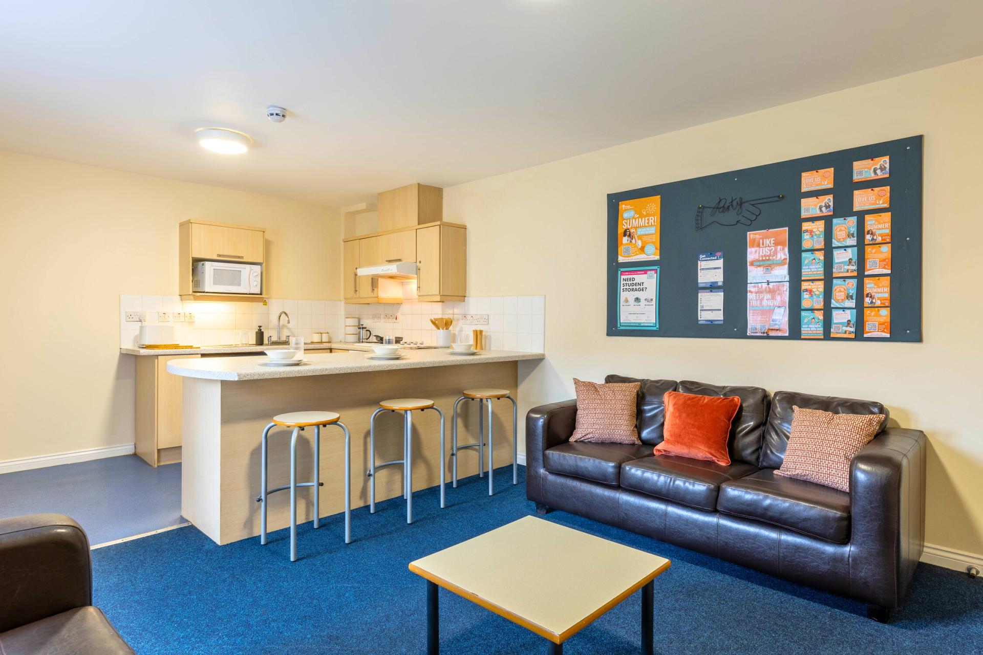  Premium En-Suite  -  Trinity Student Village  - Gallery -  9