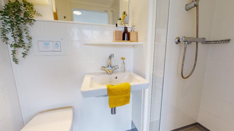  Gold Studio Premium  -  IQ Newland House  - Gallery -  5