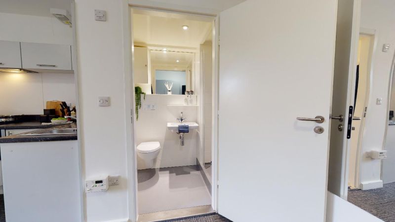  Silver Studio Premium  -  IQ Newland House  - Gallery -  2
