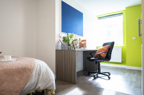 Rede House - Gallery - 16
