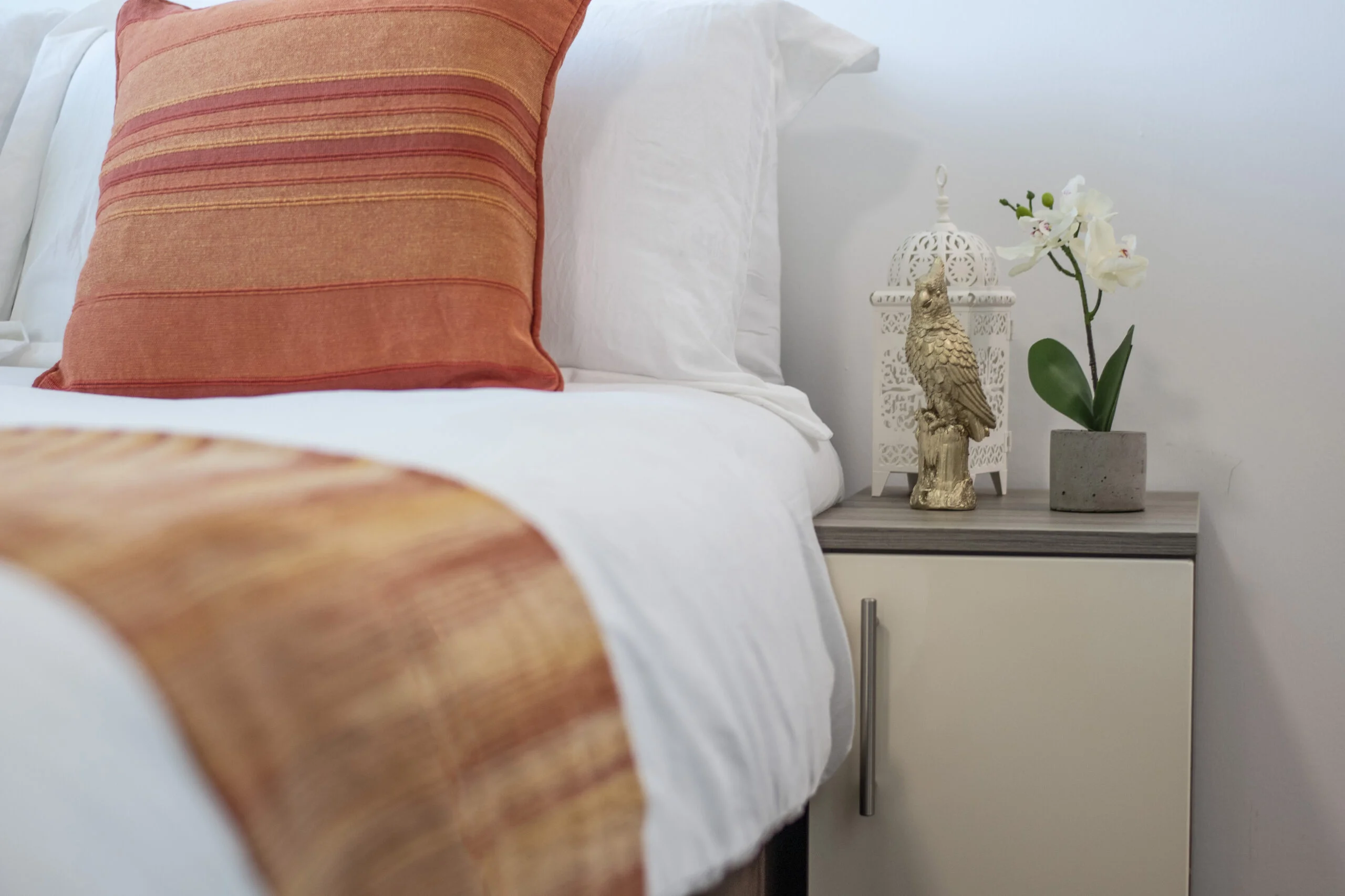  PLUS Premium Studio  -  Rede House  - Gallery -  20