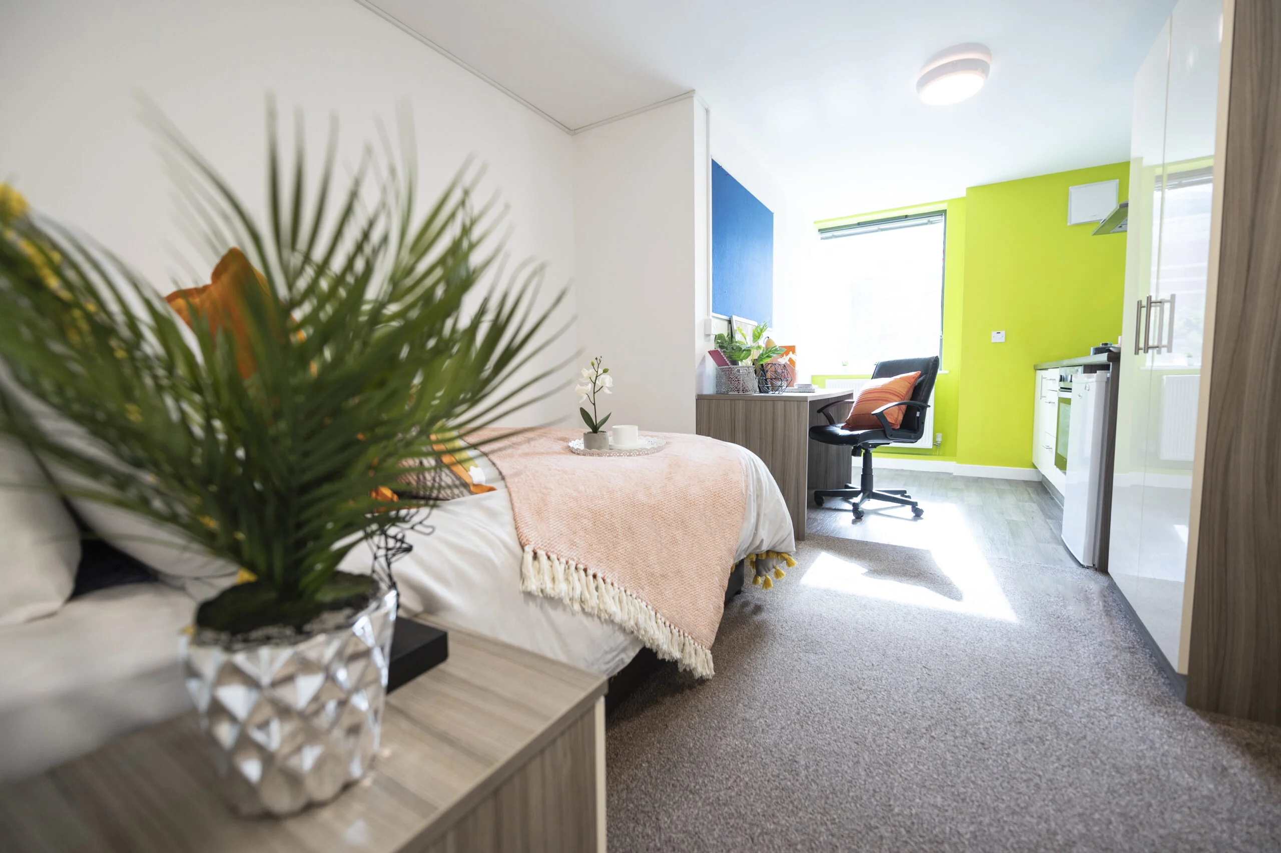  PLUS Premium Studio  -  Rede House  - Gallery -  8