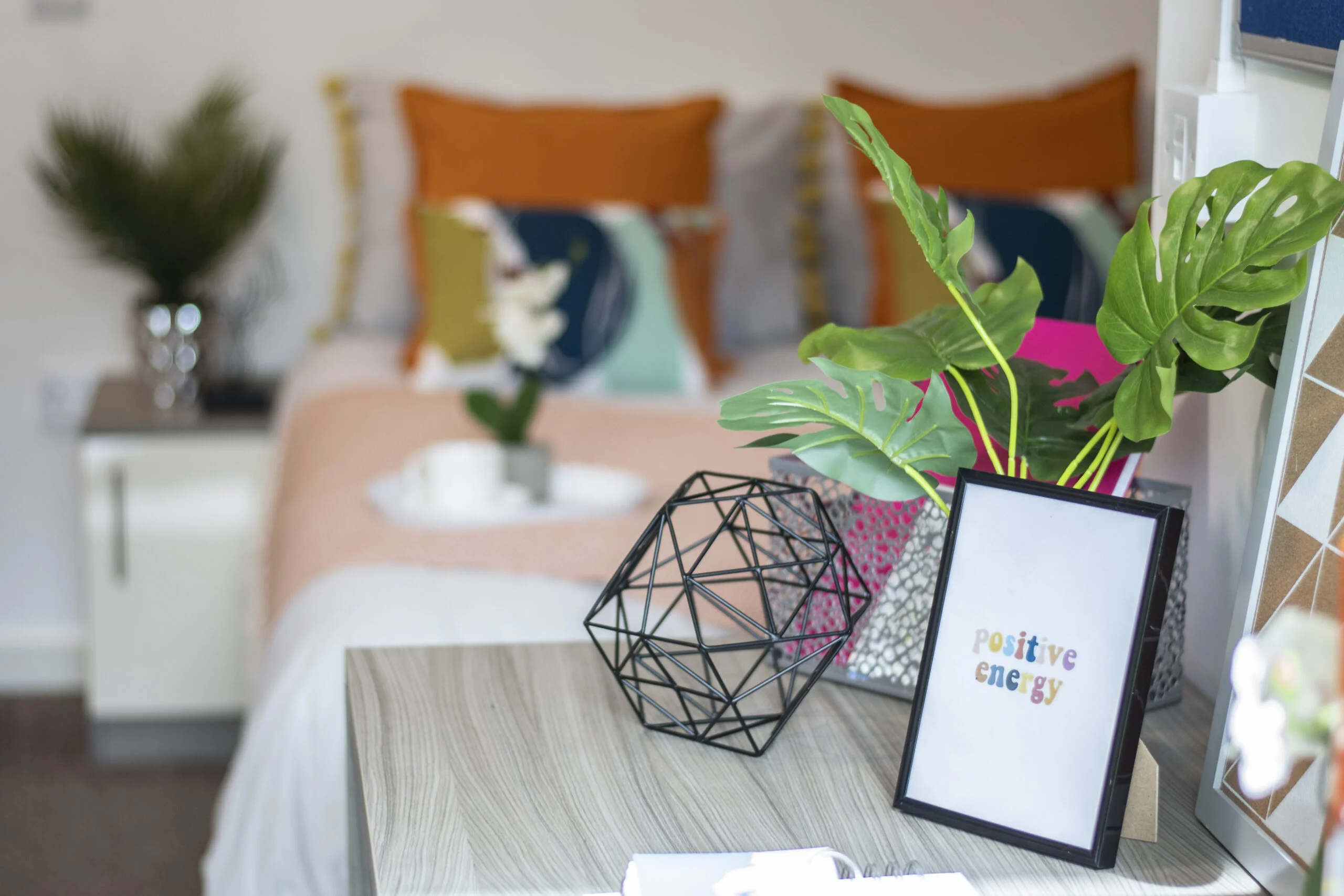  PLUS Premium Studio  -  Rede House  - Gallery -  14