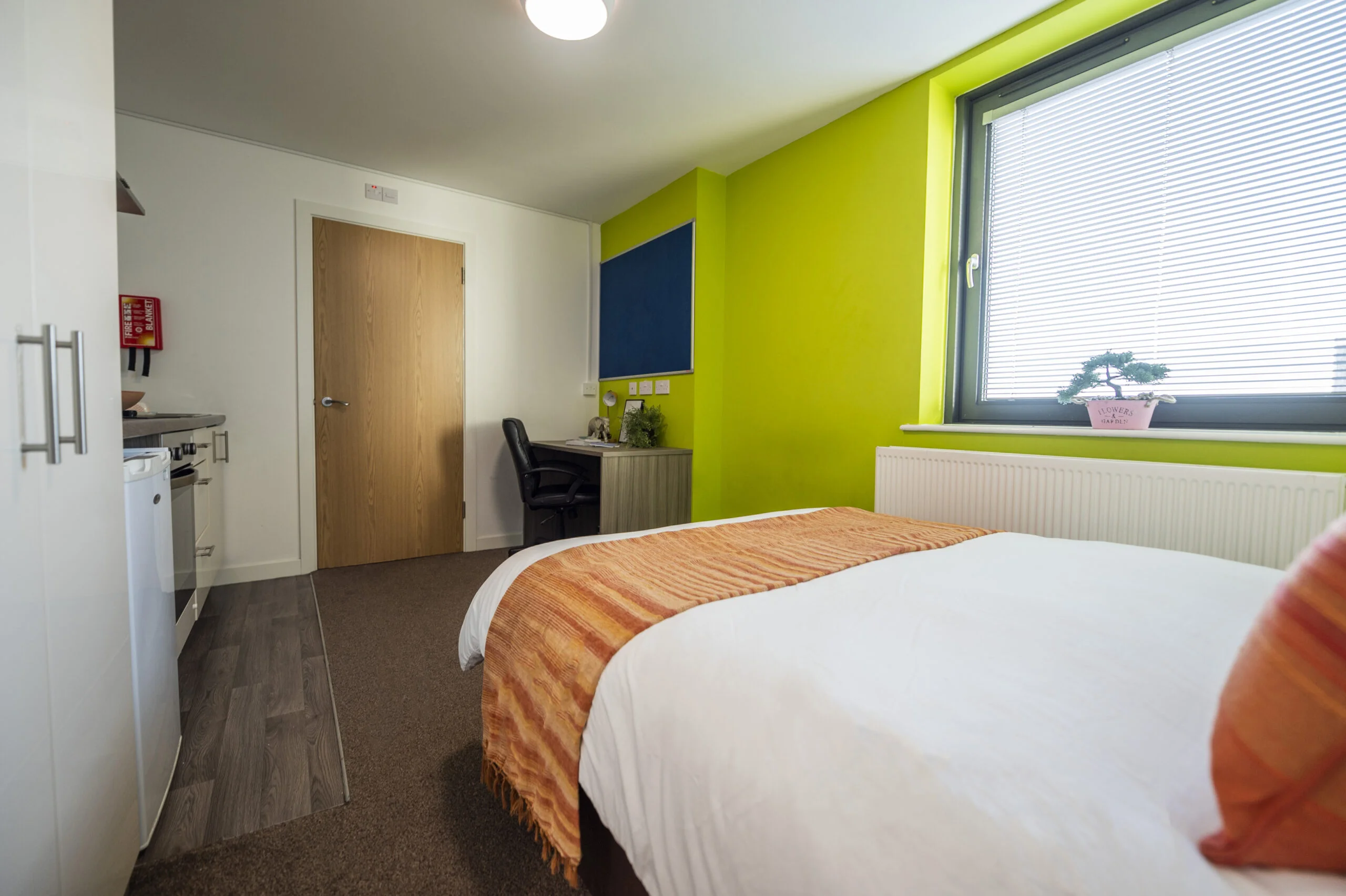  PLUS Premium Studio  -  Rede House  - Gallery -  17