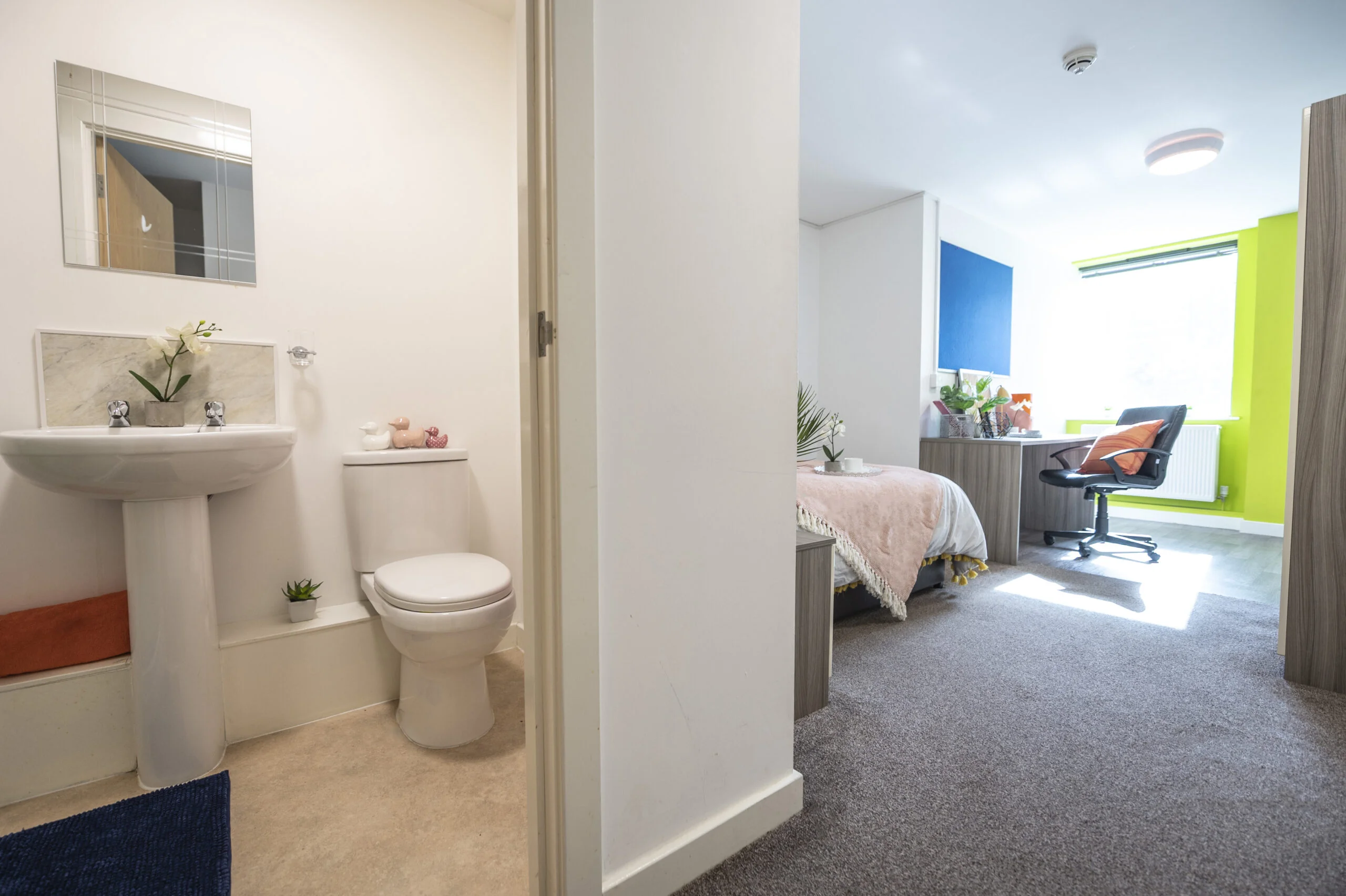  PLUS Premium Studio  -  Rede House  - Gallery -  7