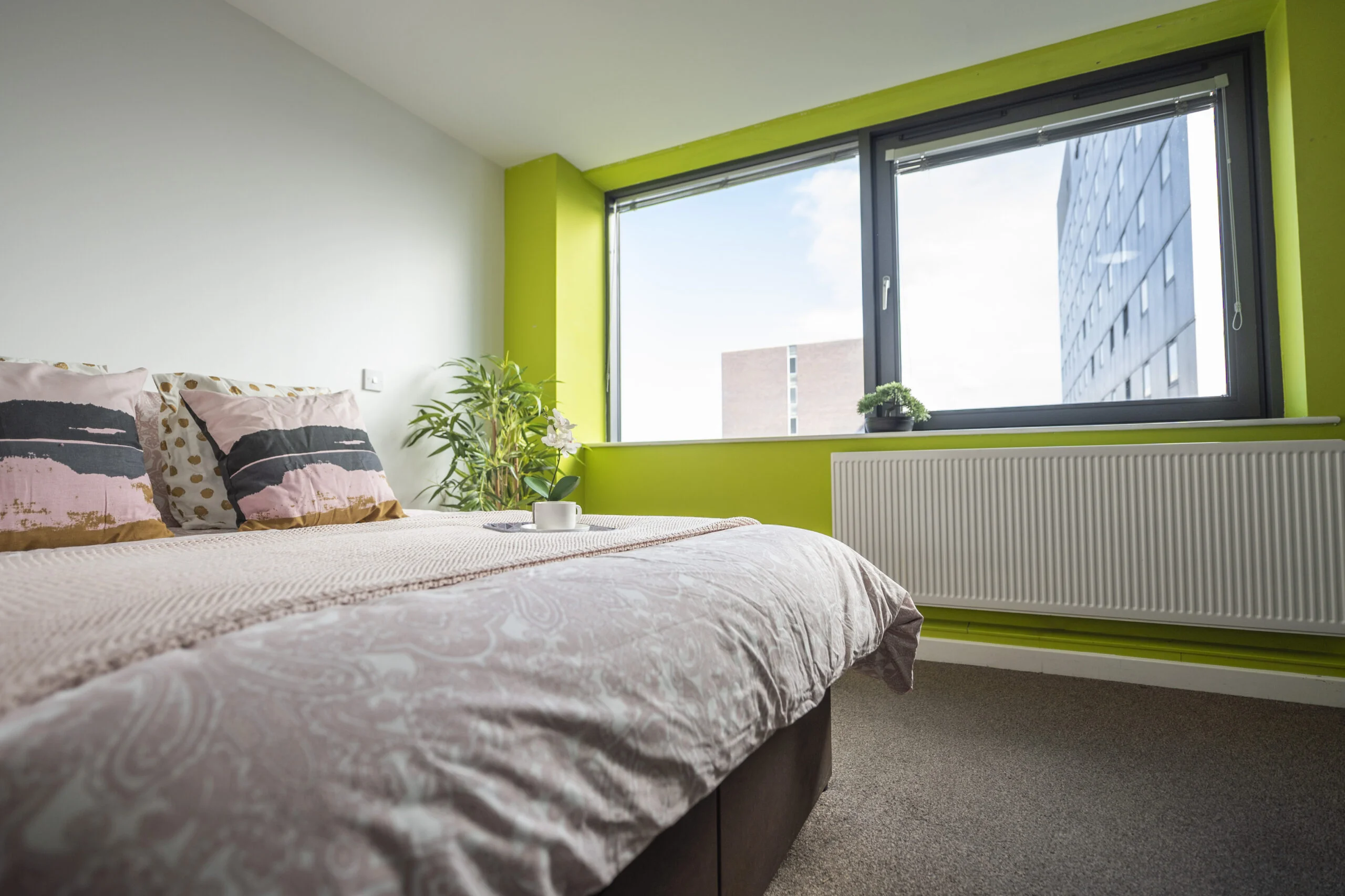  PLUS Deluxe Studio  -  Rede House  - Gallery -  1