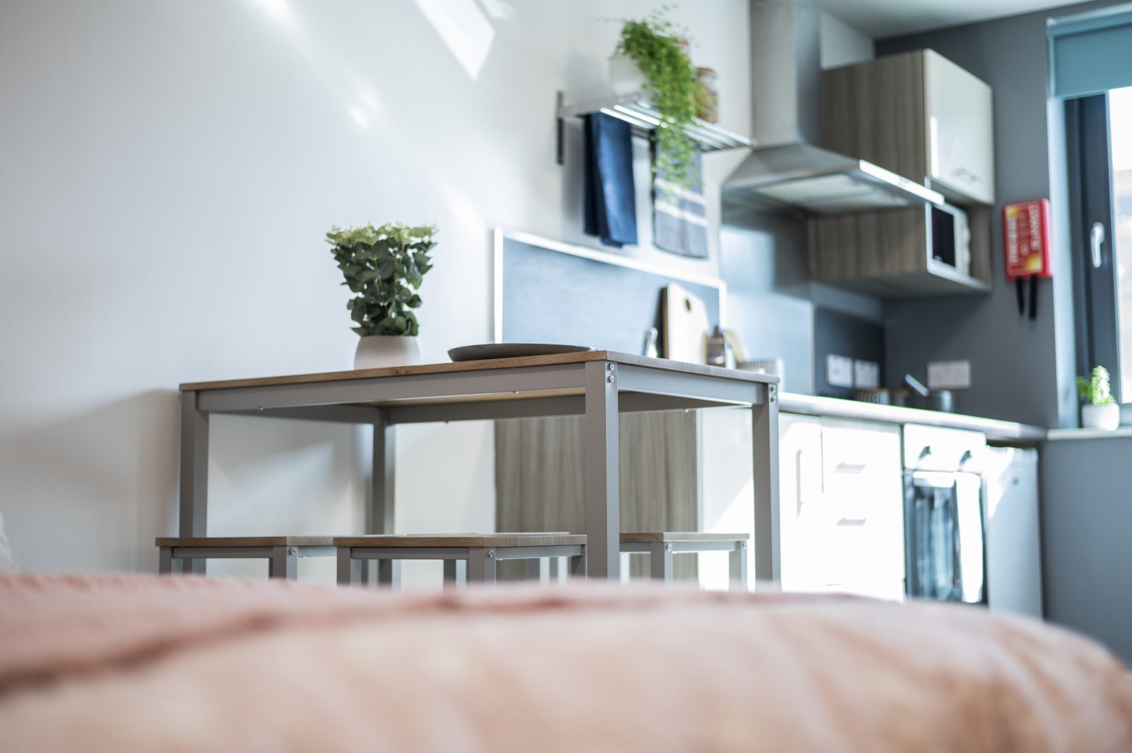  PLUS Superior Studio  -  Rede House  - Gallery -  3