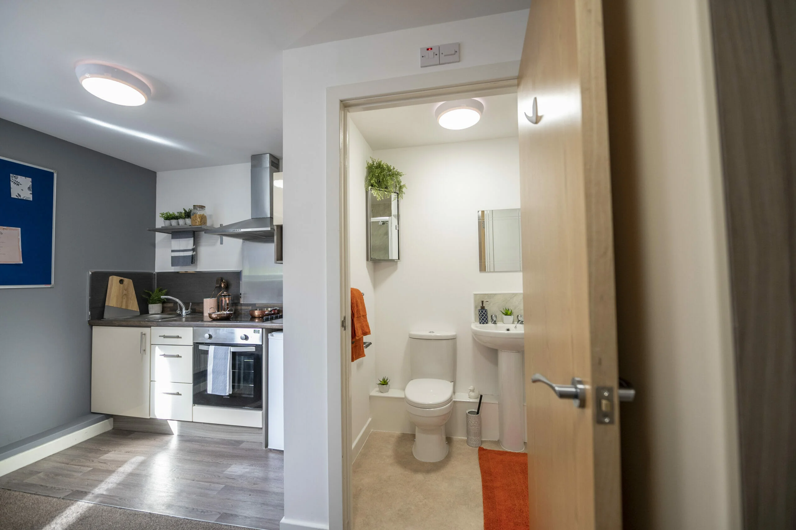  PLUS Classic Studio  -  Rede House  - Gallery -  5