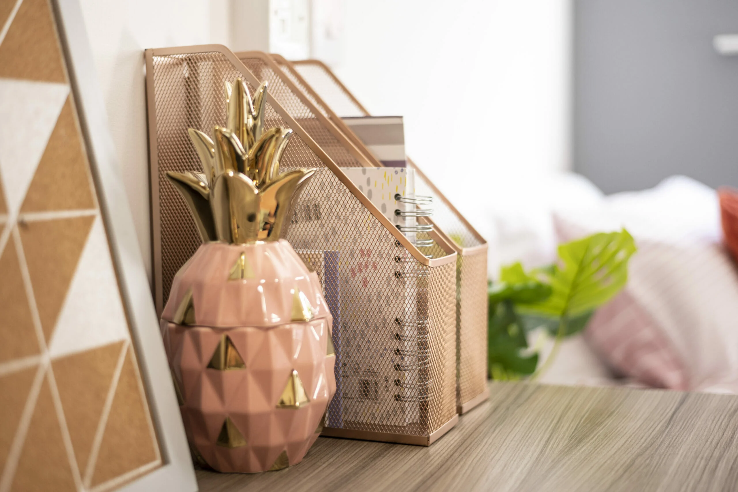  PLUS Classic Studio  -  Rede House  - Gallery -  7