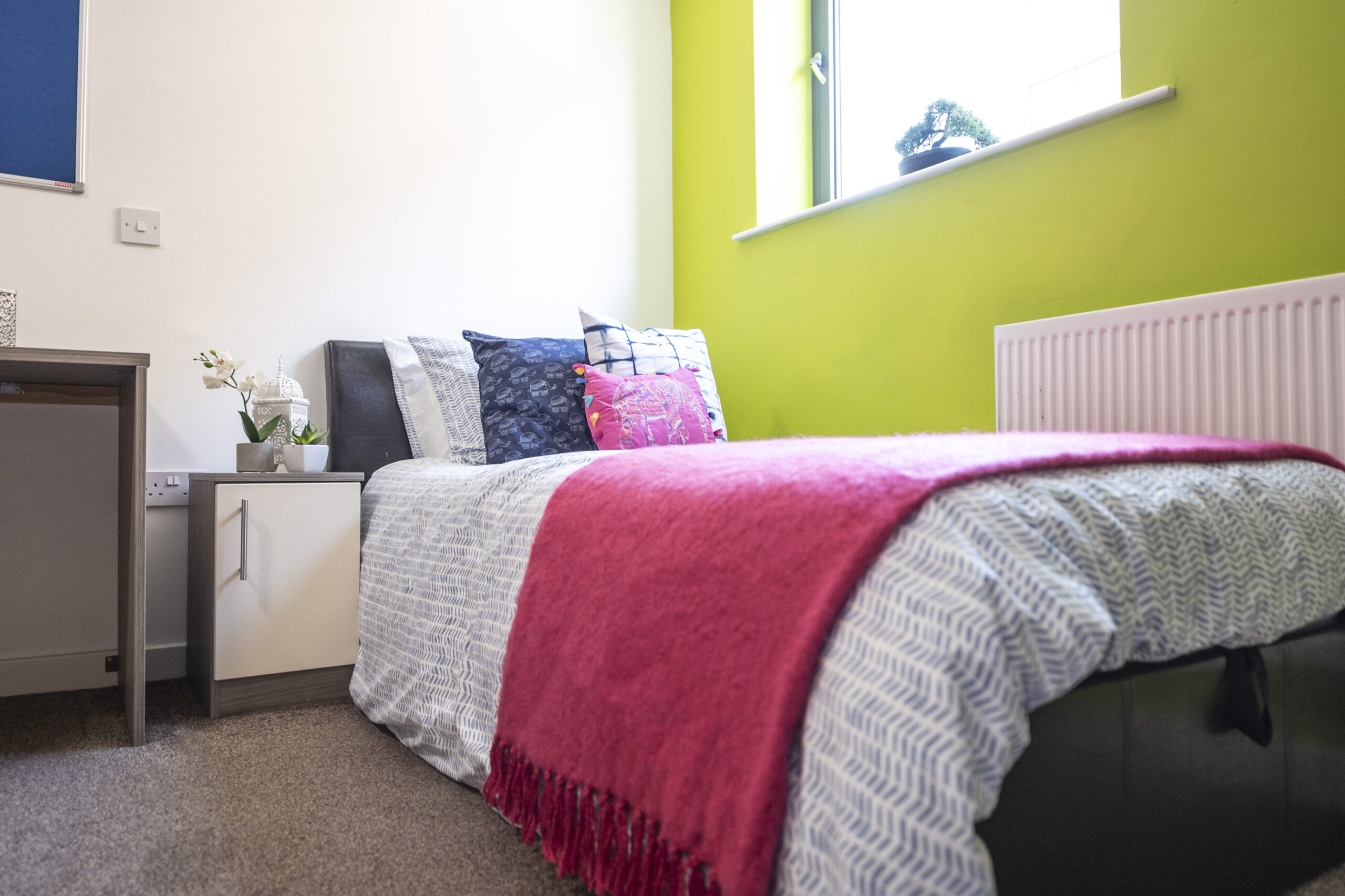 Classic Studio - Rede House - Gallery - 10