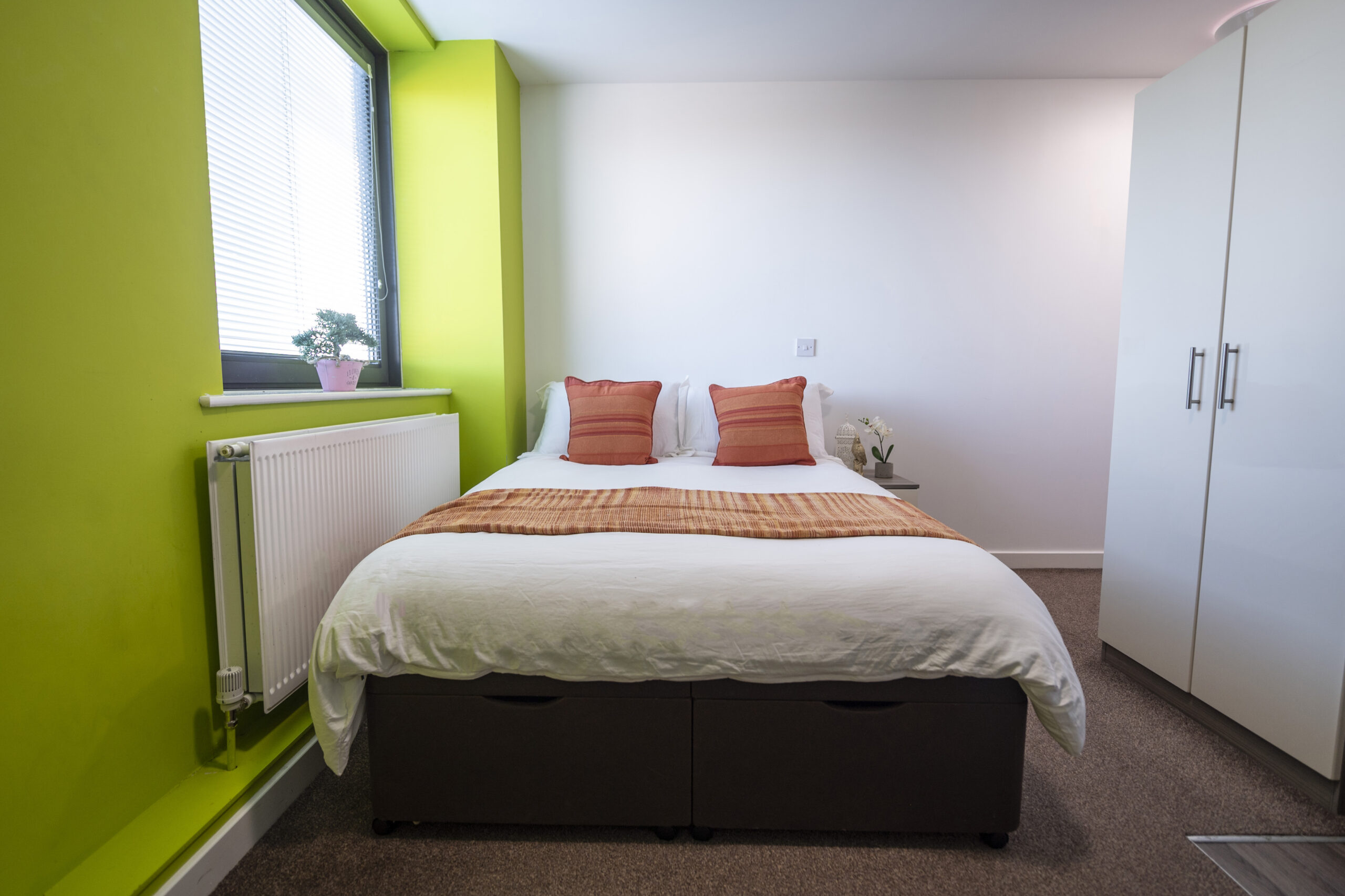  Premium Studio  -  Rede House  - Gallery -  16