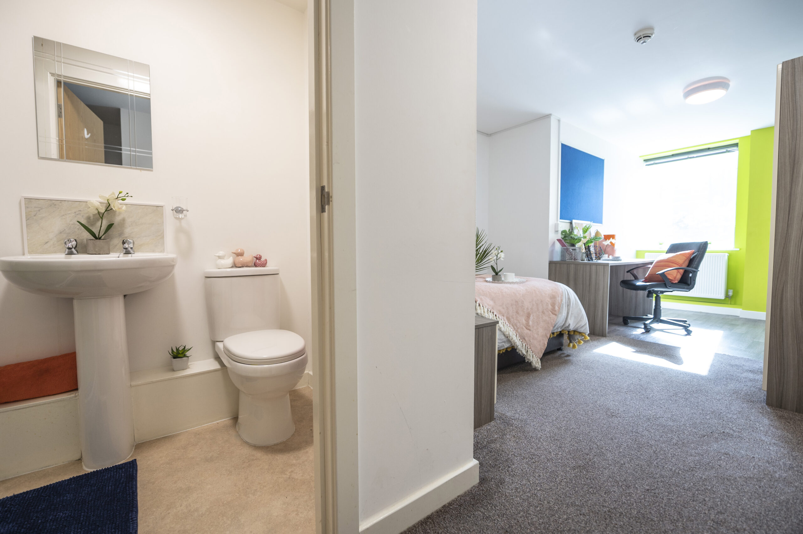  Premium Studio  -  Rede House  - Gallery -  4