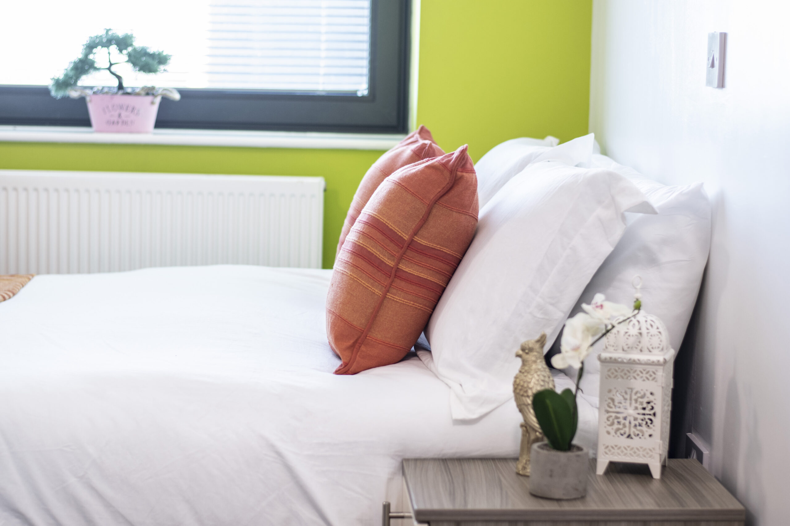  Premium Studio  -  Rede House  - Gallery -  10