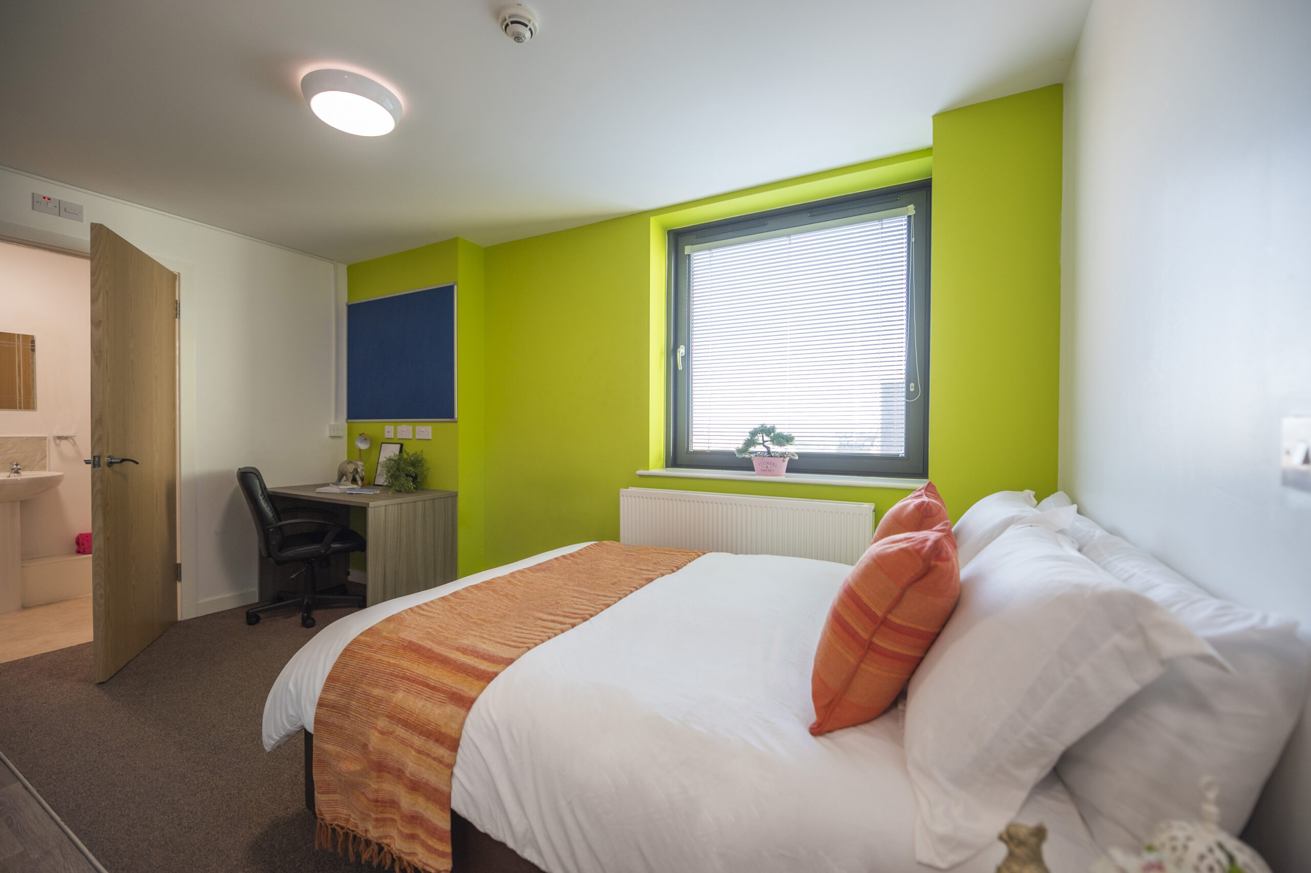  Premium Studio  -  Rede House  - Gallery -  13