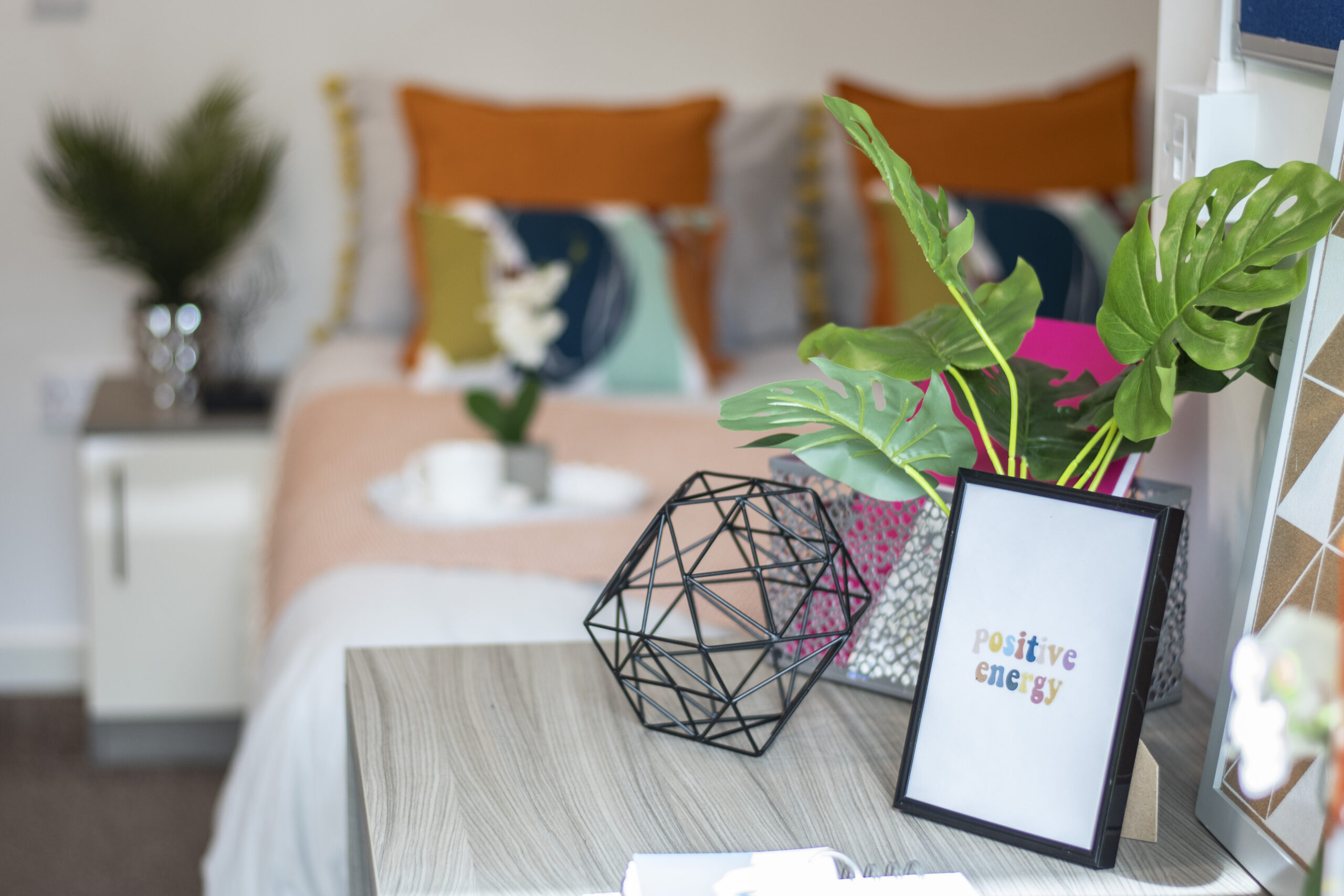Premium Studio - Rede House - Gallery - 3