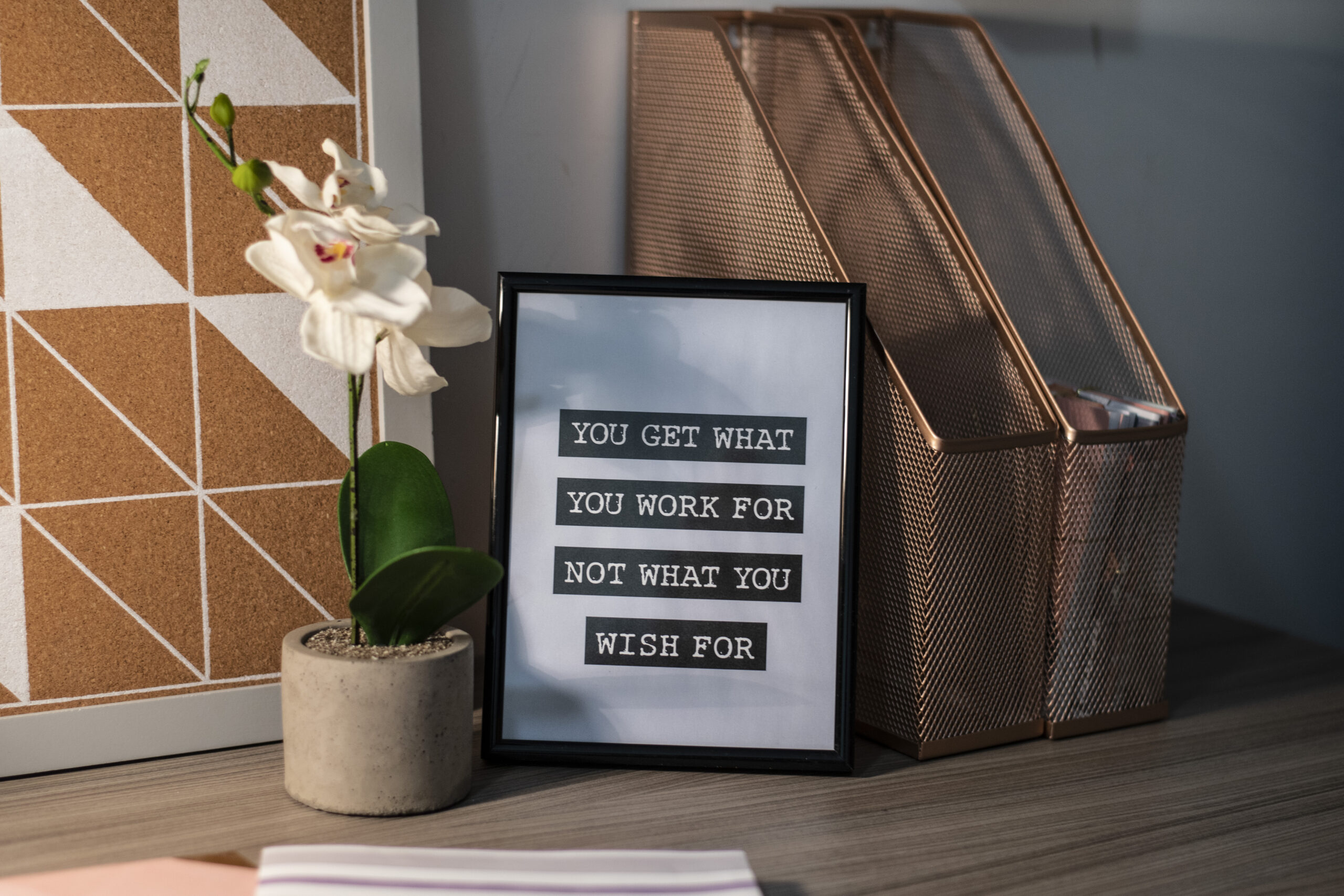  Superior Studio  -  Rede House  - Gallery -  7