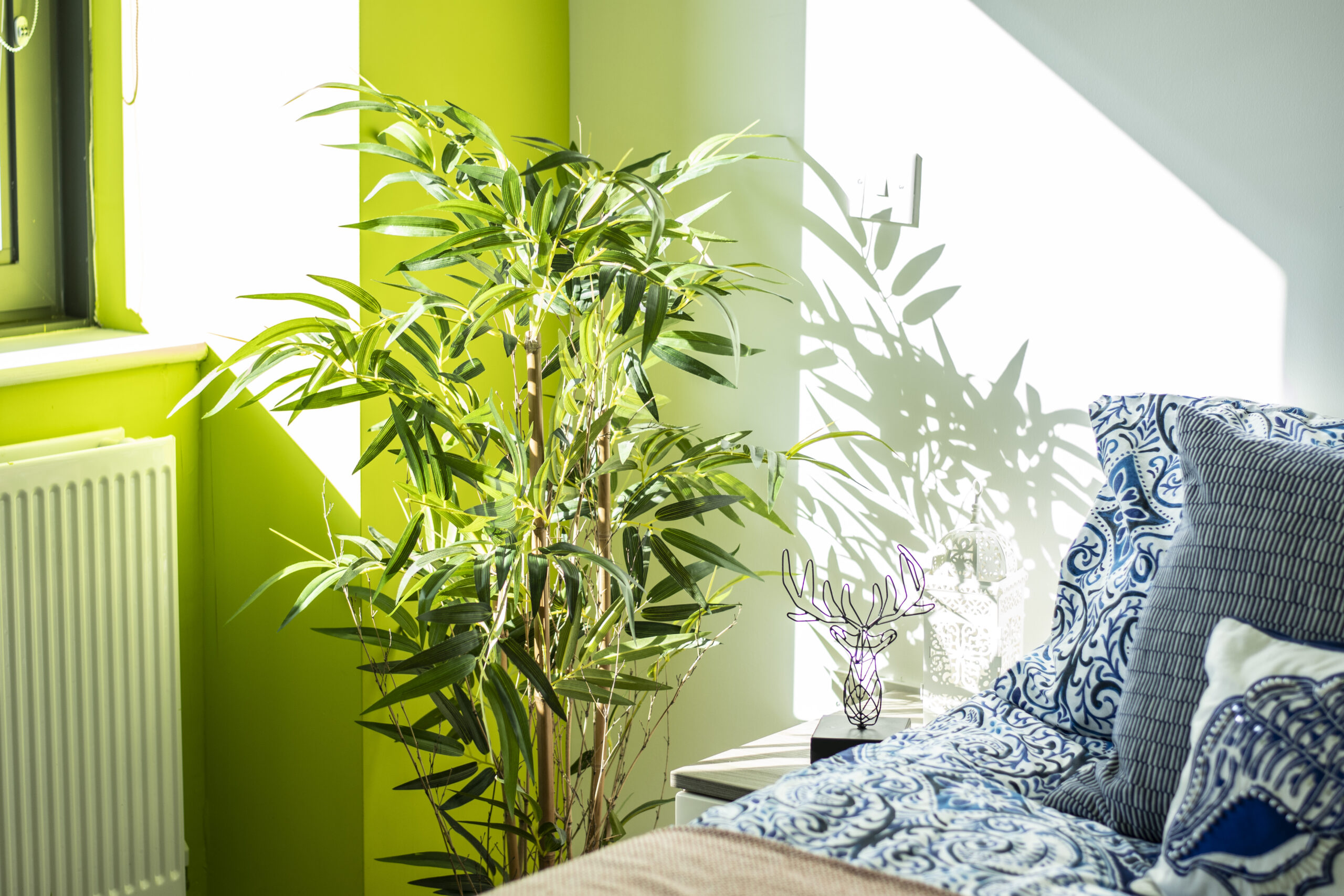  One-Bedroom Apartment  -  Rede House  - Gallery -  6