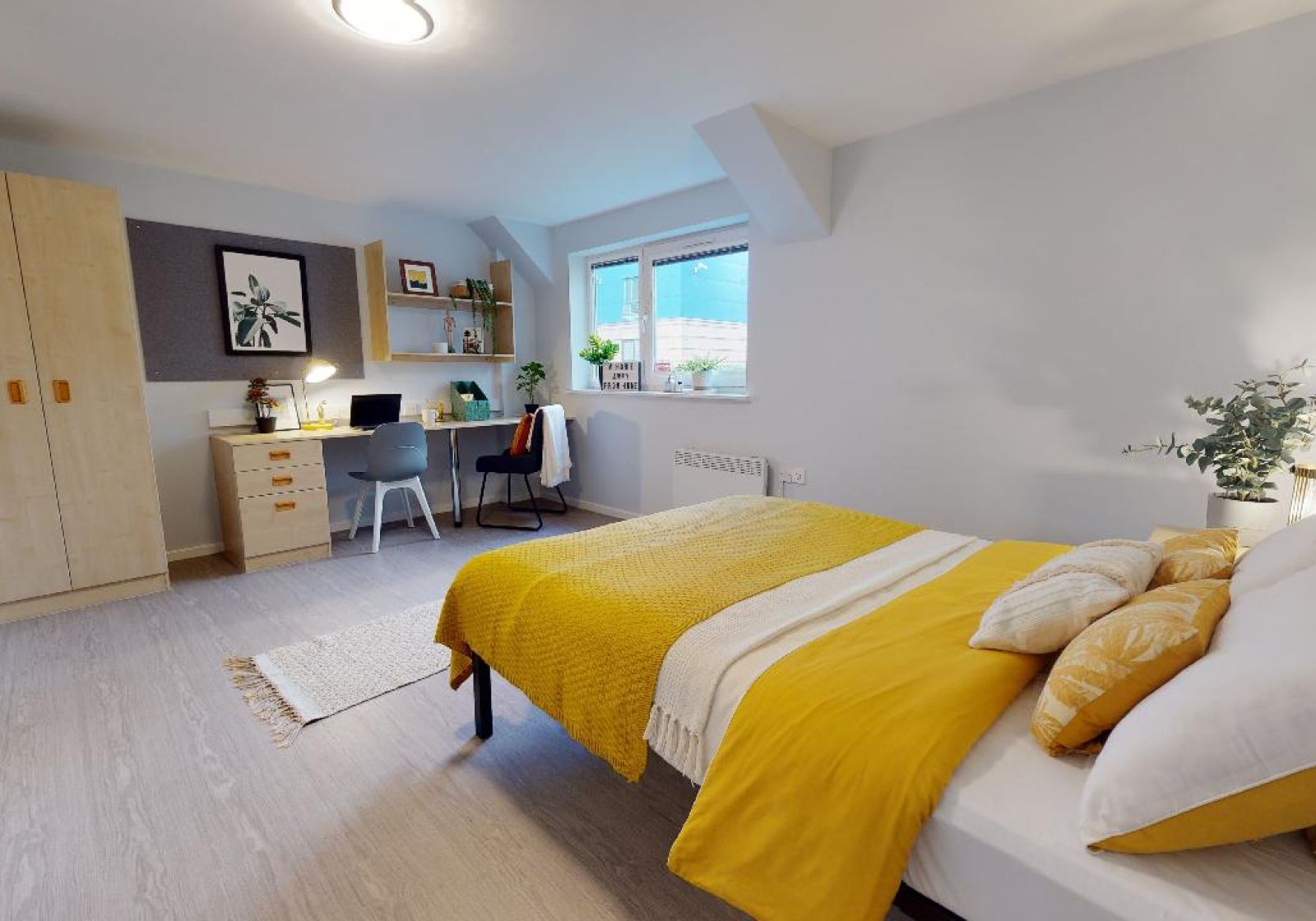  Gold Studio  -  Opal Court  - Gallery -  1