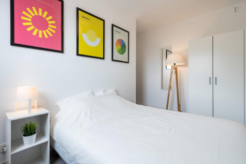 Homely double bedroom near Université Jean Moulin Lyon 3