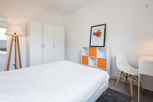 Homely double bedroom near Université Jean Moulin Lyon 3
