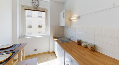 Charming double bedroom in Molière Vauban