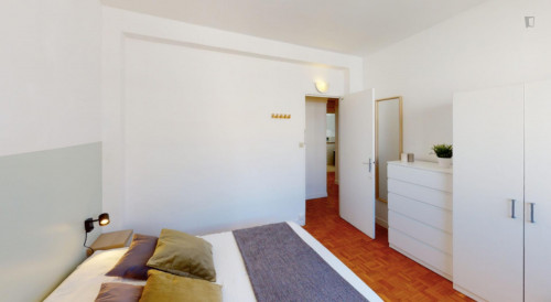Charming double bedroom in Molière Vauban