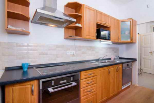 Large double bedroom near the Praha-Bubny train station