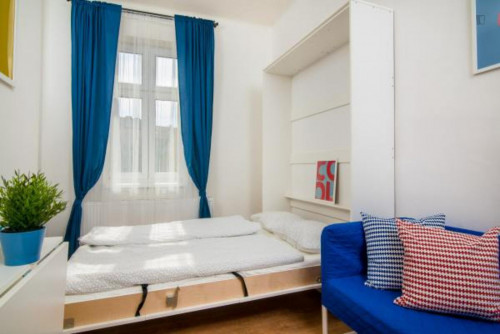 Colourful studio in Fidlovačka