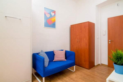 Colourful studio in Fidlovačka