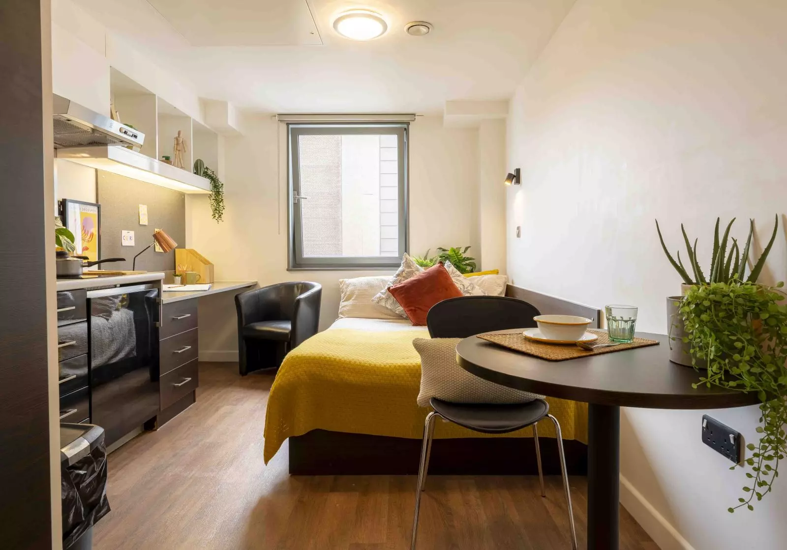  Silver Studio  -  IQ Astor House  - Gallery -  1