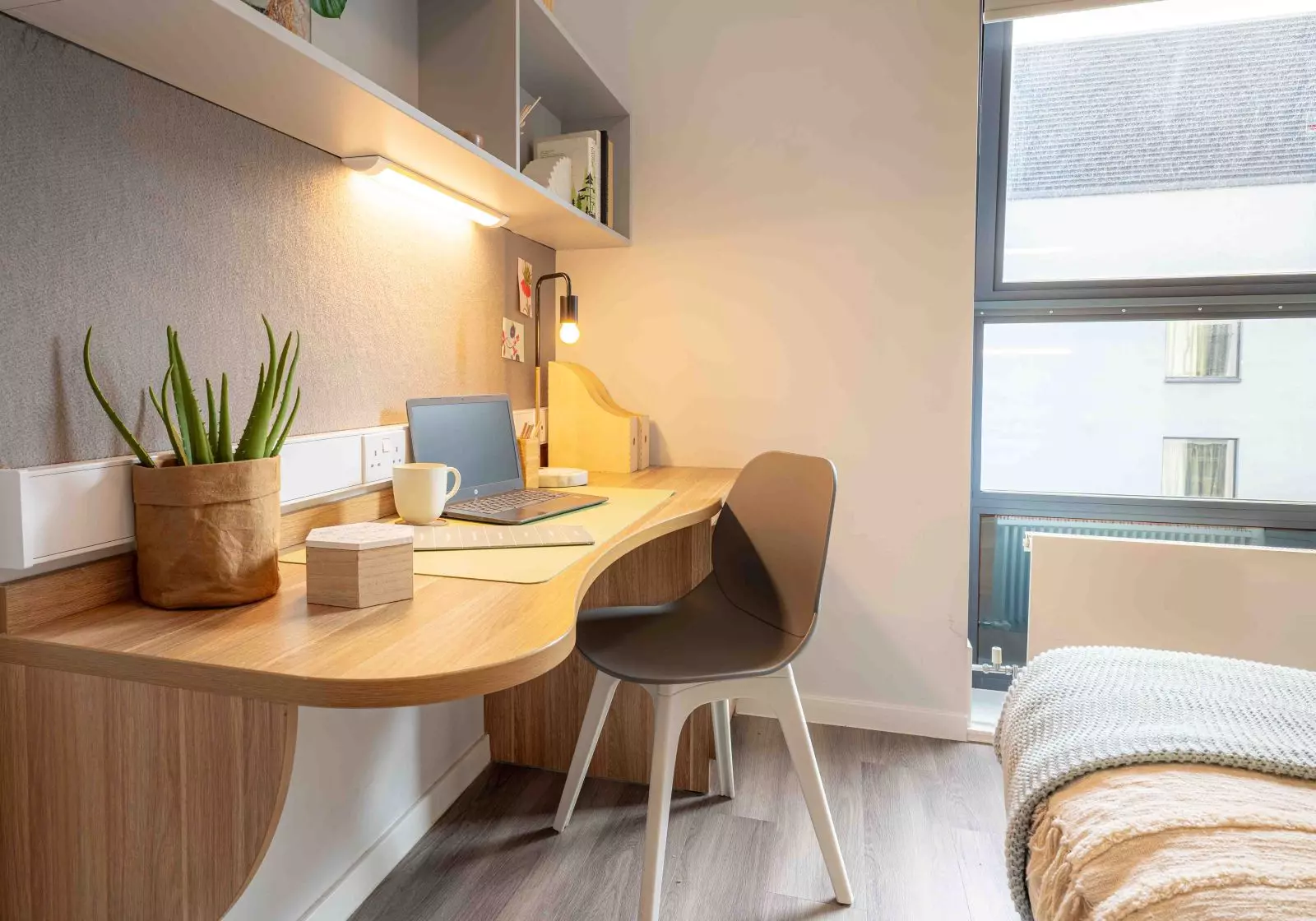  Bronze En-Suite Deluxe  -  أى كيو رافلز هاوس  - Gallery -  5