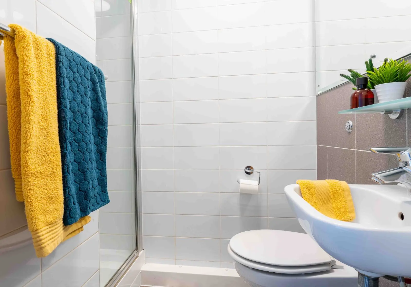  Bronze En-Suite Plus-2627  -  أى كيو رافلز هاوس  - Gallery -  1
